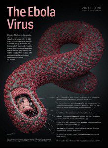 ebola-virus-poster_01