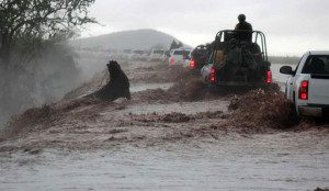 Rains caused by "Manuel" keep affecting Northern Mexico