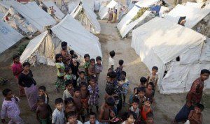 rohingya