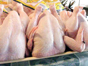 ayam potong