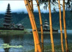 bali-ilustrasi-_110801154309-569