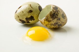 gambar-telur-puyuh