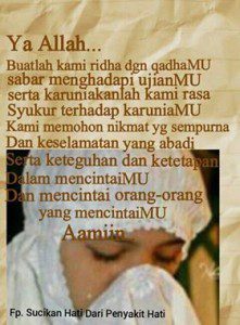 ridha