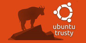 ubuntu