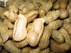 Kacang tanah