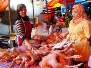 daging