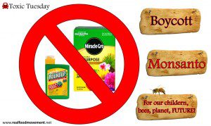 monsanto-copy5-1024x614