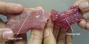 daging babi