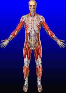 badan