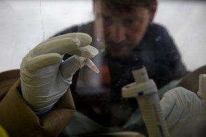 serum ebola