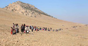 sinjar04