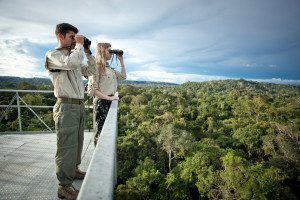 Tourists at canopy tower