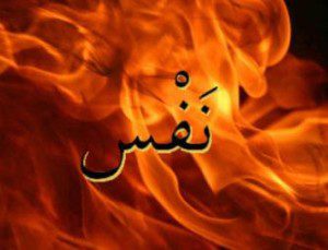 nafs1