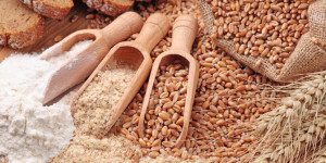 impor-bahan-mie-instan-tinggi-gandum-nuklir-bisa-jadi-pilihan