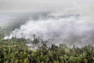 kebakaran hutan riau (foto: goriau.com)
