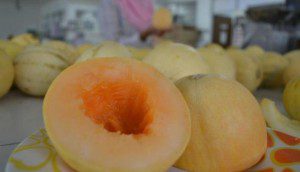 melon granat (foto:vivanews)