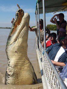 croc-brutus