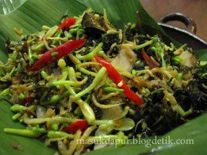 makanan pahit