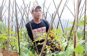 Mulyana/jawapos.com