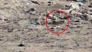 peti mati mars