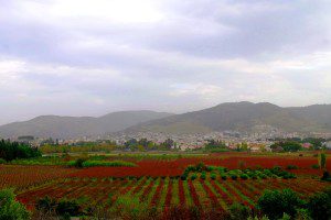 Kota Selcuk, Foto: Farchan