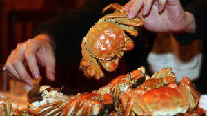 kepiting 2