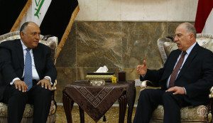 Menlu Mesir dan Wapres Irak