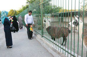 mashad 5