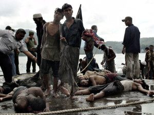 pengungsi rohingya