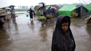 warga rohingya