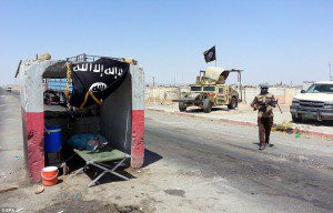 isis di baiji
