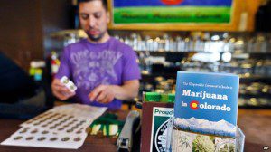 hashis colorado