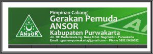 ansor