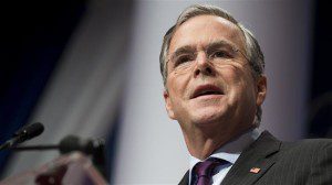 jeb bush