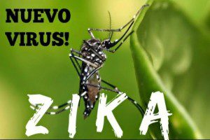 virus zika