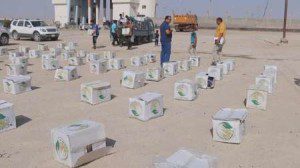 bantuan untuk fallujah