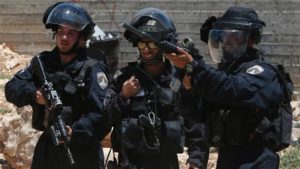 girlpalestine