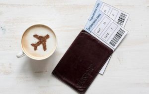 boarding-pas