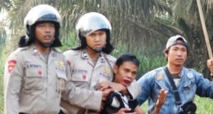 petani