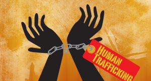 human-traff