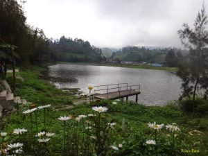 ranupani2