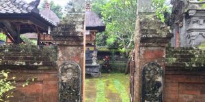 bali